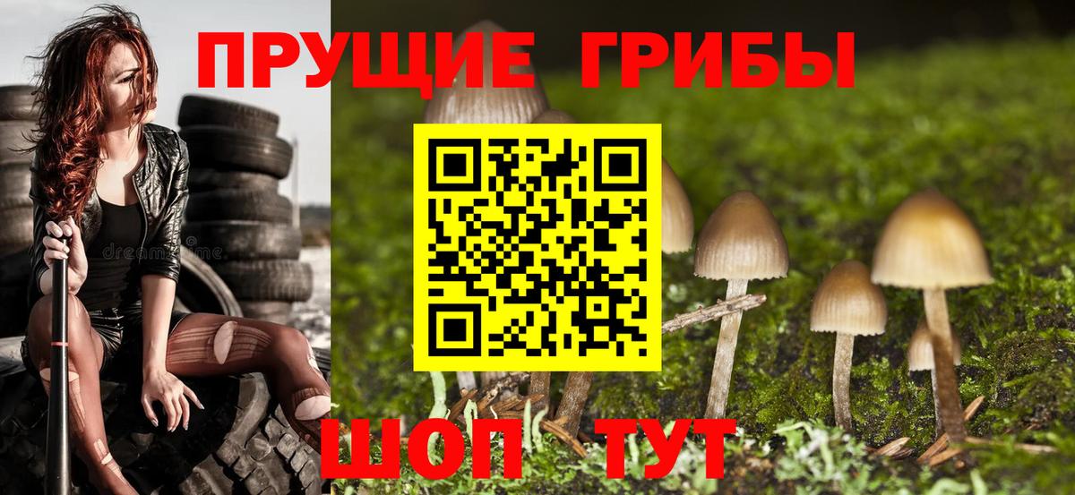 Когалым  Галлюциногенные грибы GOLDEN TEACHER  Вход с VPN 