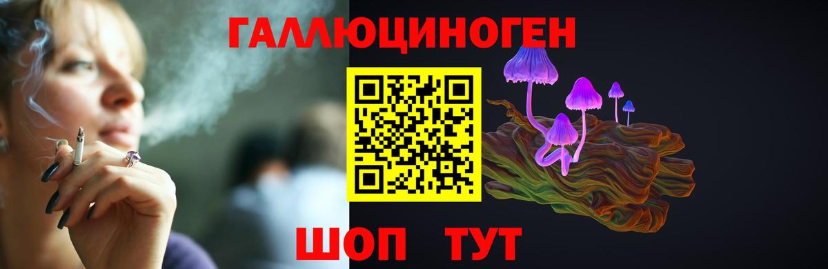 Галлюциногенные грибы Cubensis Когалым